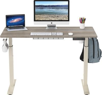 China Office Home Luxury (Size) Desk USB Charging Ergonomic Electric Sit Stand Height Adjustable Standing Desk for sale