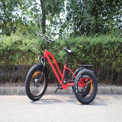 China Best Quality 48V 750W Three Wheel Steel Cargo Electric Bike For Adult for sale