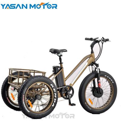 China Steel 250W XOFO Motor Front Drive 3 Big Wheel Electric Bike for sale