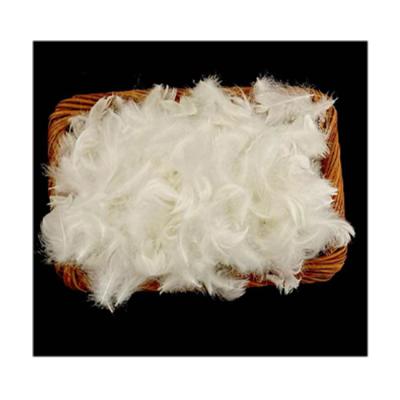 China High Quality RDS Jacket Washed White Goose Down Feather For King Size Feather Duvet And Pillow for sale