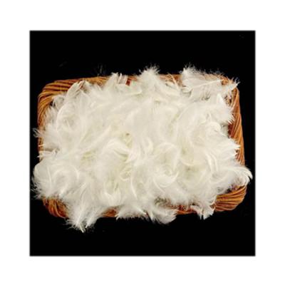 China Jacket High Quality RDS Washed Duck Feather For Memory Feather White Pillow And Cloud Feather Sofa for sale