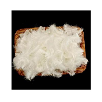 China The High Quality RDS Jacket Washed White Duck Feather For Feather Pillow Material And Feather At The Bottom Of The Comforter for sale