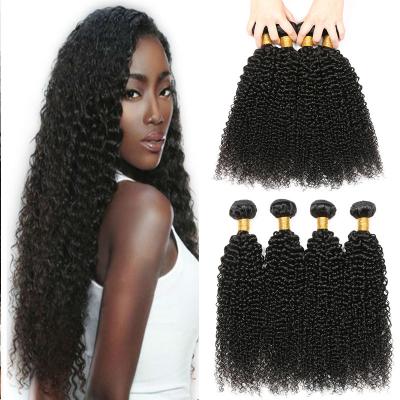 China Free Sample Kinky Curly Mongolian Curly Hair,Virgin Hair Extension Bundle Wholesale Seller,Bulk Cheap Real Hair Weave for sale