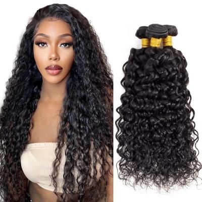 China Water Wave TOP 10A Grade Raw Brazilian Remy 100% Natural Cuticle Aligned Human Health Virgin End Weave Hair Bundles With Closure for sale