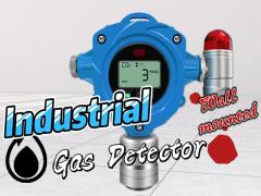 Fixed Gas Detector