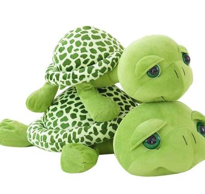 China Anywhere Little Turtle Plush Toy Action Figure Internet Celebrity Turtle Doll Rag Doll Bed Pillow for sale