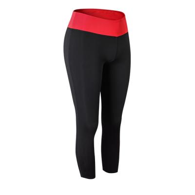 China QUICK DRY Women's Yoga Pants Running High Waist Contrast Tight Short Stretch Pants Quick Dry Training Gaiters for sale