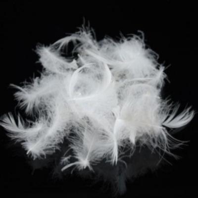 China goose down factory directly supply high quality soft white goose down and feather material for sale