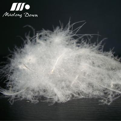 China Duck Feather White Duck Feather 5% low price white low 95% low wholesale feathers for sale