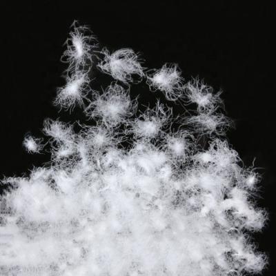 China Wholesale High Quality 900 Filling Power 95% Goose Down Washed Polish White Goose Down for sale