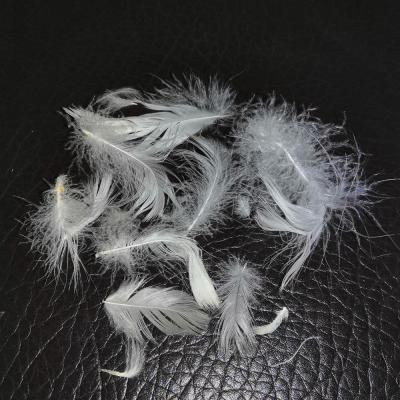 China Duck Feather Hot Selling Good Quality Washed White Duck Feather for sale