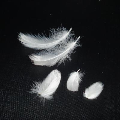 China Single Washed Goose Feather 4-6cm Top Quality Goose or Duck Down Best Latest Price for Wholesale for sale