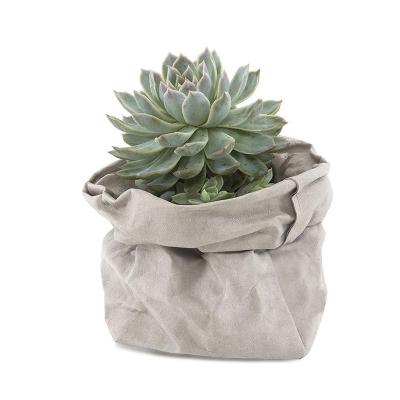 China Home Plant Multifunctional Wholesale Flowers Recycle Environmentally Friendly Washable Kraft Paper Bag for sale