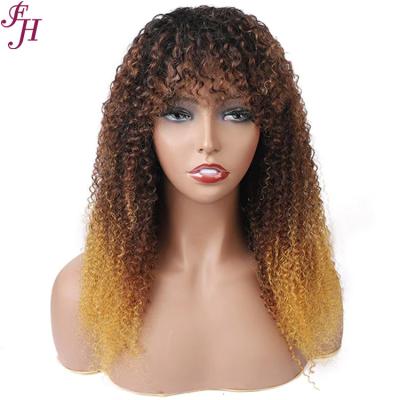 China FH 100% Ombre Human Hair Wig 1B&Brown Brazilian Curly Indian Curly Virgin Hair Cuticle Aligned Thick Soft Thick Straight Hair Barely Shedding Wig for sale