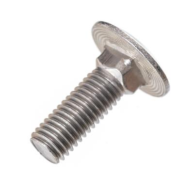 China 304 Stainless Steel Square M8 Carriage Bolts 304 Stainless Steel DIN 603 for sale