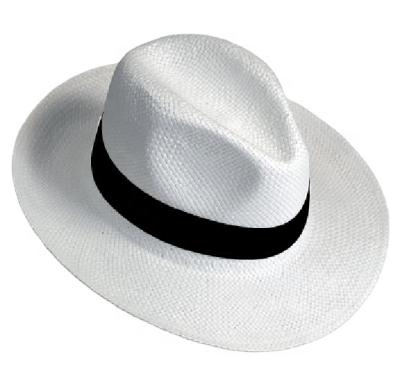 China Cheapest Price High Quality Image Factory Stocked Design Paper Straw Popular Panama Hat for sale