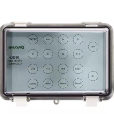 China LANDSCAPE Controller Remote Box for RGB AC12V Wake Up LED Pool Lights for sale