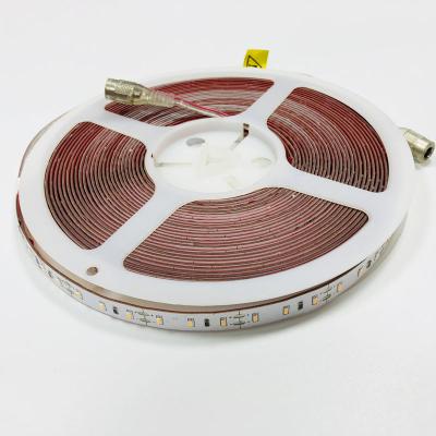 China LANDSCAPE SMD3014 led flexible strip light 12V 90leds per meter 10mm PCB with DC connector led rope light for sale