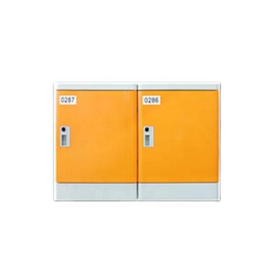 China High Quality Club School Locker Card Electronic Locker For Gym Employees Changing Room Lockers for sale