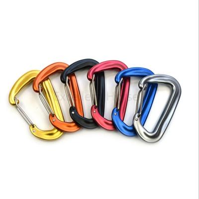 China Eco-friendly not to mount D shape carabiner with spring for sale