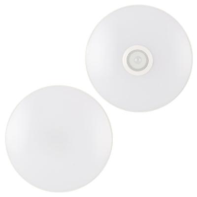 China Circular Minimalist LED Smart Home Dimmable Remote Three-proofing Motion Sensor 30W Outdoor Mounted Smart Ceiling Light for sale