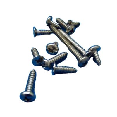 China Traditional Stainless Steel Tapping Screws for sale