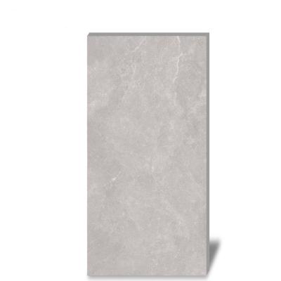 China 2022 New Cement Porcelanato Modern Exterior Floor Tiles for sale