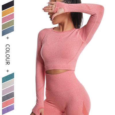 China Wholesale Cheap Antibacterial Yoga Seamless Wear Long Sleeve Skinny Top Sports Casual Slim Fit for sale