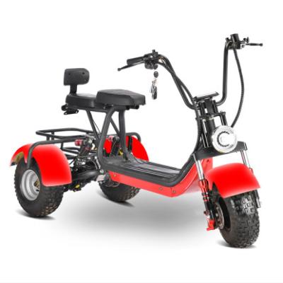 China Fashionable and safe off-road electric tricycle unisex city 800w electric covered tricycle unisex new products from China for sale