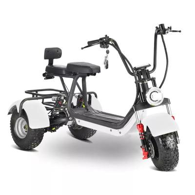 China Unisex Made In China Popular Fat Tire Leisure Style Three Wheel Electric Adult Tricycle 48V 800W Off Road Scooter for sale