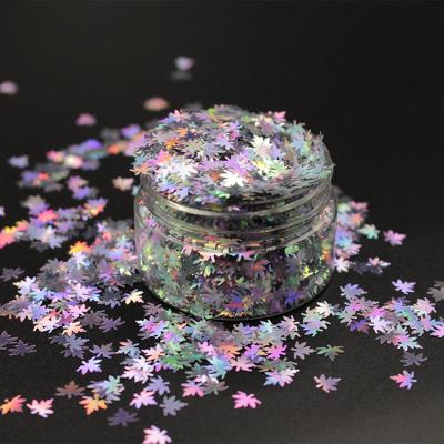 China Handcraft decoration/festival decoration/cosmetics etc. Top Selling Instant Silver Colored Sheets Shape Shimmer Chunky Holographic Polyester Glitter For Christmas Crafts for sale