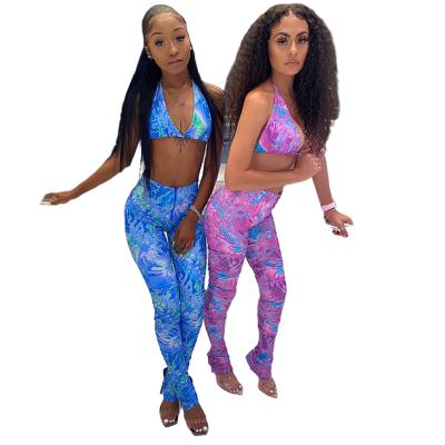 China 2022 2022 Sexy QUICK DRY Two Piece Swimsuit QUICK DRY Snake Printed Sports Wear Women Set Sexy Backless Bandage 2 Piece Leggings Set for sale