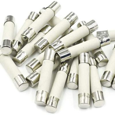 China SYHY 100 Pcs 5A Slow-Blow Fuses 250V 6x30mm Time Delay Ceramic Fuse 250V 5A for sale