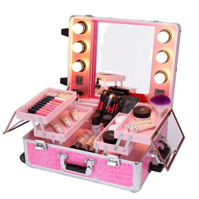 China Custom Fire Panel - In Cart Pink 6 LED Light Trolley Height Adjustable Makeup Light Case for sale