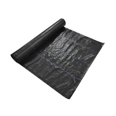 China Agricultural Or Garden Used For Barrier Mat Weed Control Membrane Of Weed Mat And Plant Cover pp Woven Fabric for sale