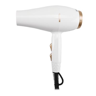 China AC Motor Ionic Hair Dryer With High Power Professional Ionic Hair Dryer for sale