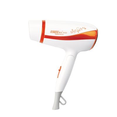 China 1600W Super Quiet Foldable Household Fashion Commercial Foldable Hair Dryer for sale