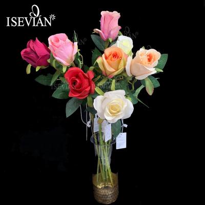 China Marry ISEVIAN Tianjin Rose Flower Long Rose Bud Single Stem For Sale for sale