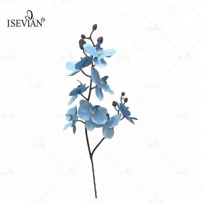 China Wedding High Quality Artificial Blue Flower Real Touch Orchids Blue Flowers for sale