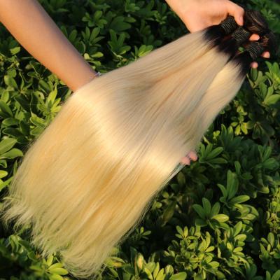 China Pure Original Natural Hair Russian Ombre Hair Extensions, Free Sample Mink Virgin Brazilian Blonde Hair Bundles Virgin Human Wholesale for sale