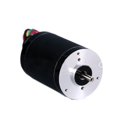 China High Torque 5kw/2kw Totally Enclosed Brushless DC Motor 5000rpm, Hot Selling Electric Brushless Motor for Skateboard Bicycle Go Kart and Car for sale