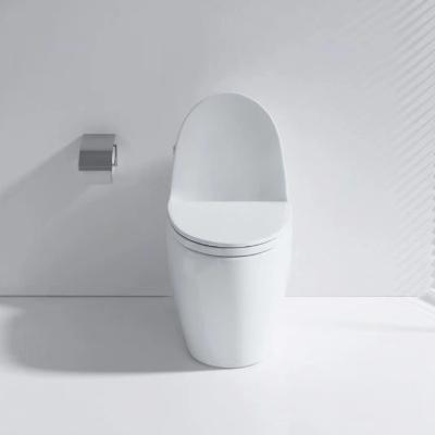 China Double-flush China Supplier European Style One Piece Toilet With CE Certificate Toiletry Toiletry Ceramic for sale