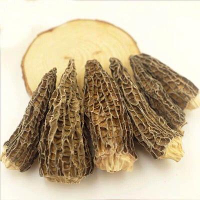 China Factory Price Dried Price Nightshade Mushroom Morchella Mushroom Nightshade for sale