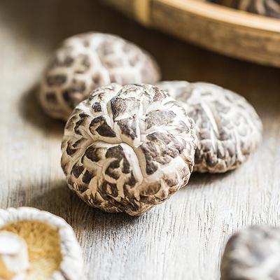 China The dry hot sale log white flower mushroom / dry shiitake mushroom /hot sale dry the mushroom for sale