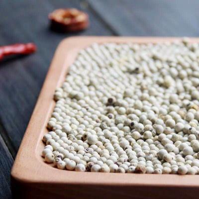 China Factory Price White Black Pepper Dry White Peppercorn And Price for sale