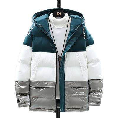 China Contrast Color Breathable Coat Duck Down Salesman Jacket Shiny Stripper Jacket With Hood For Men Winter for sale