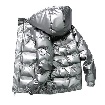 China Breathable High Quality Duck Down Bubble Coat Mens Stripper Jacket With Hood Parka Winter for sale