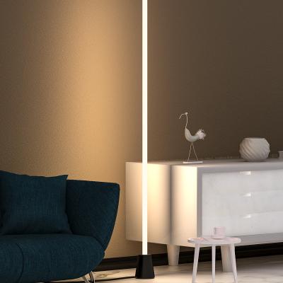 China Nordic Modern Minimalist RGB LED Standing Decorative Room Bracket Corner Remote Control Floor Lamp for sale