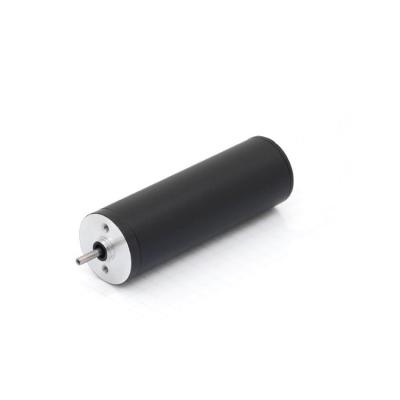 China IP30 factory price MICRO 22mm BLDC motor for sale