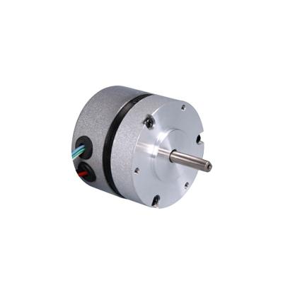 China Factory Price IP30 57mm Airplane Model BLDC Motor Brushless Motor for sale